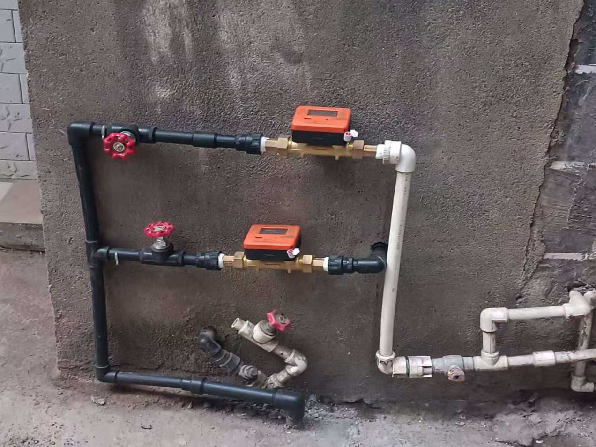 61.jpg
