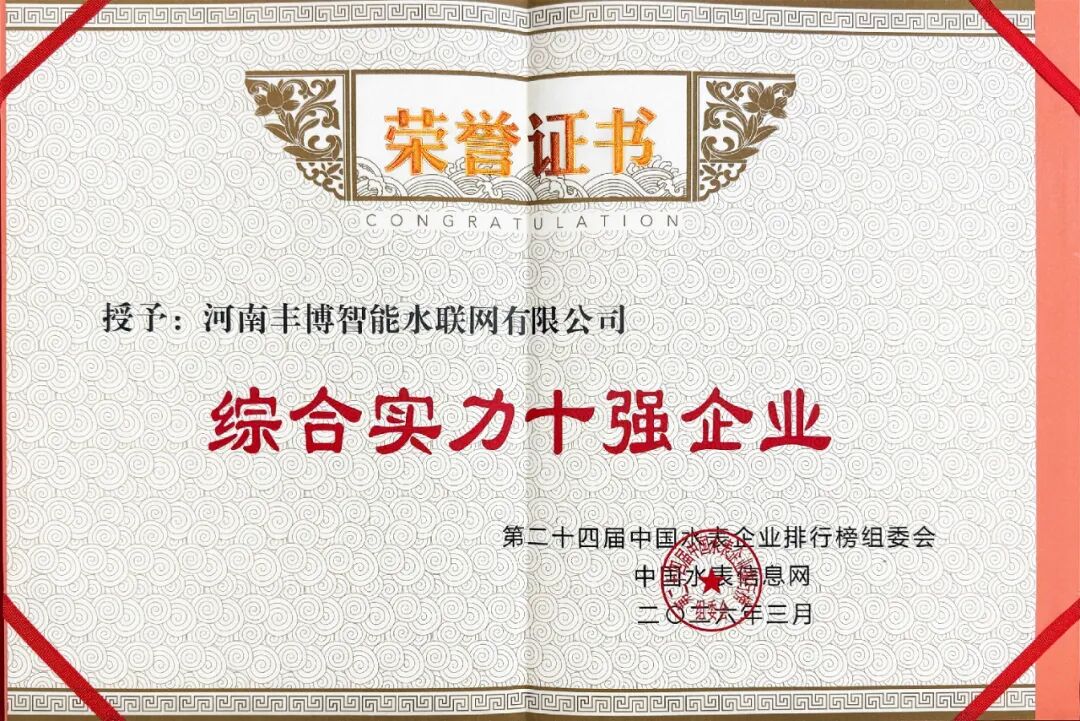 综合实力十强企业